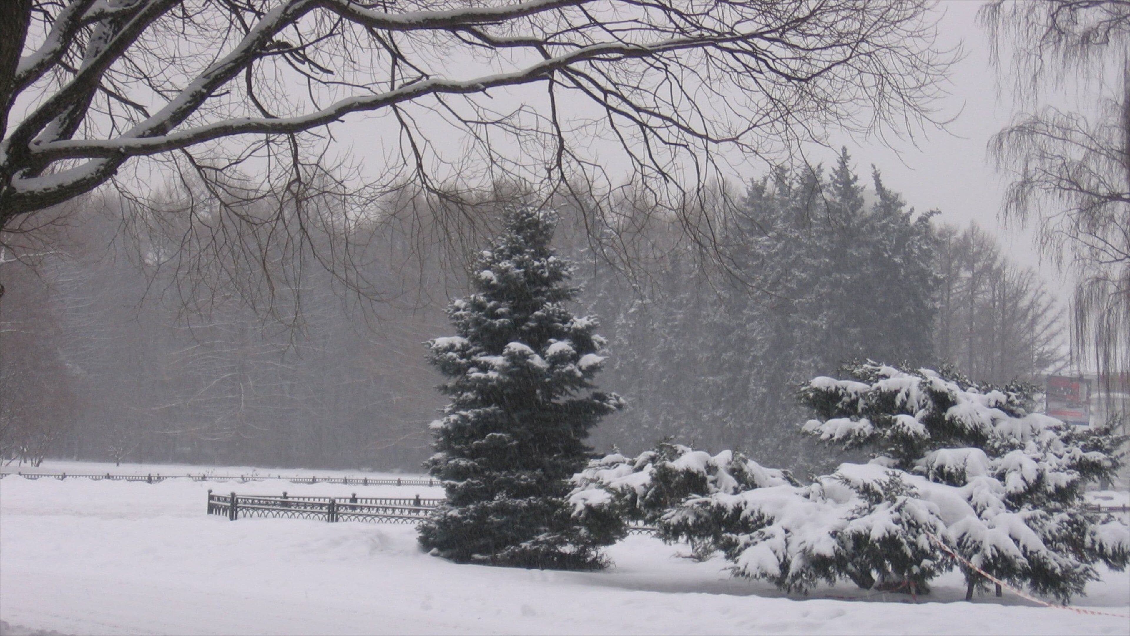 埃尔米塔日花园