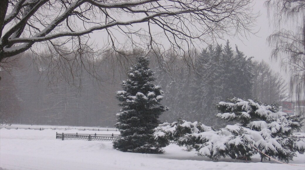 Hermitage Garden which includes a garden and snow