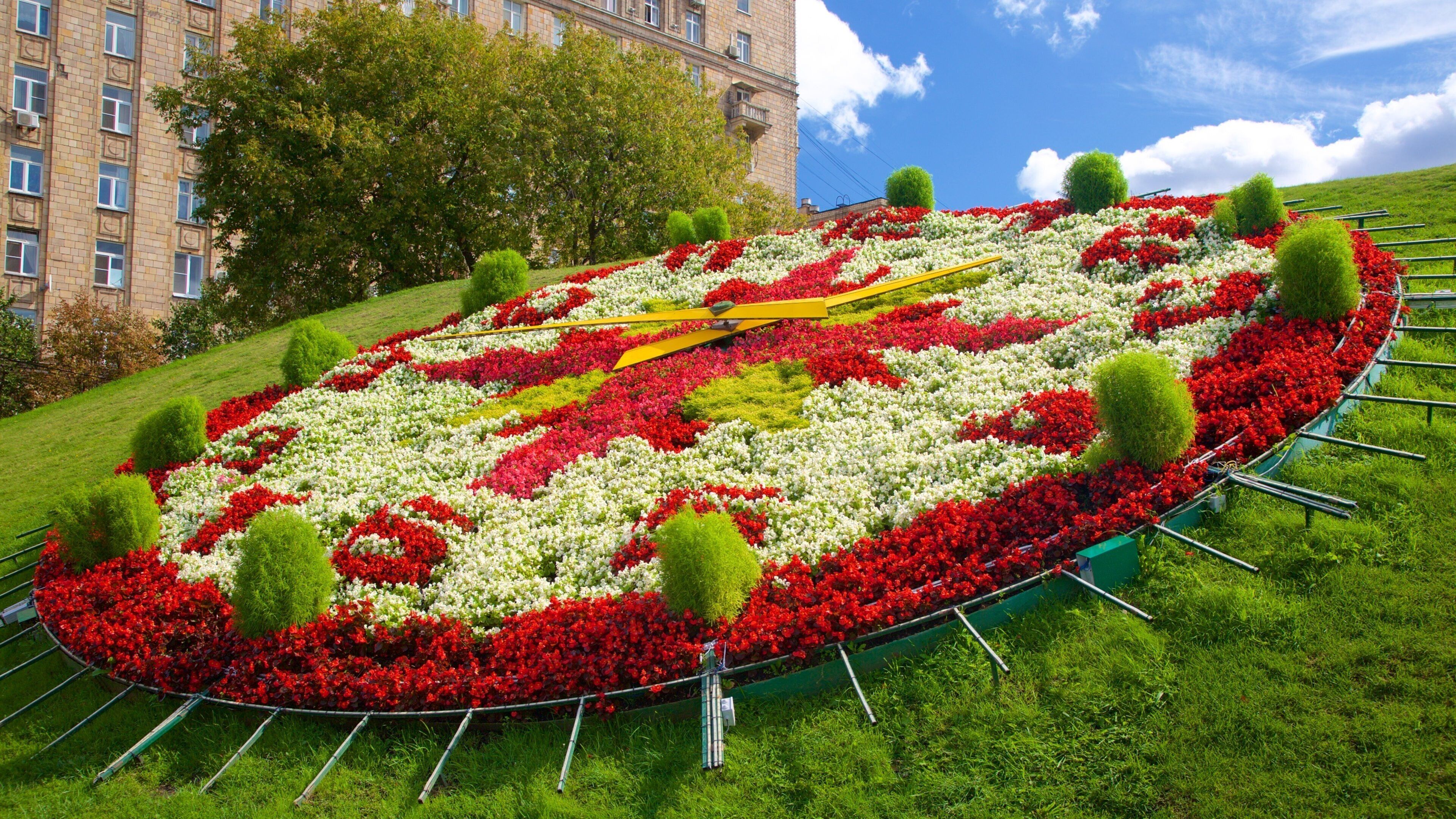 Victory Park which includes a park and flowers