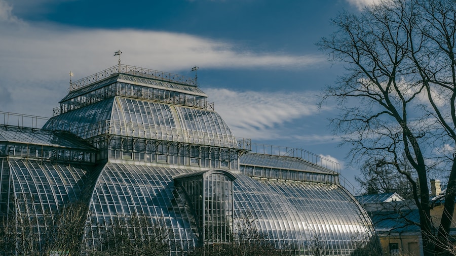Jardin botanique de Saint-Pétersbourg
