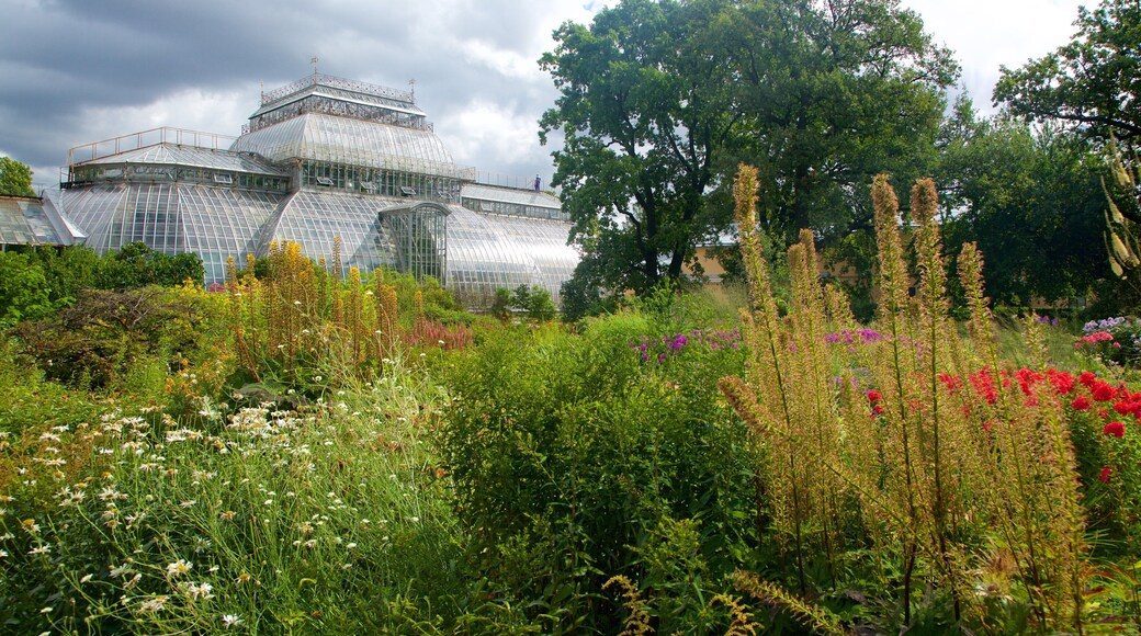 Jardines botánicos de San Petersburgo que incluye un jardín