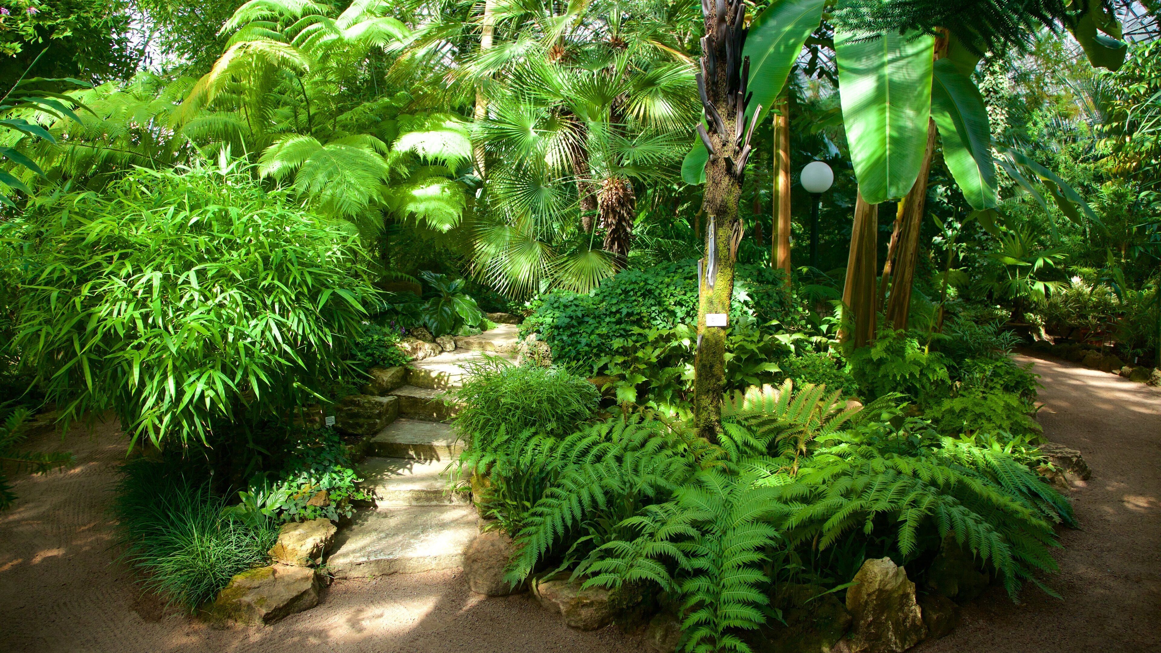 Jardines botánicos de San Petersburgo ofreciendo un parque