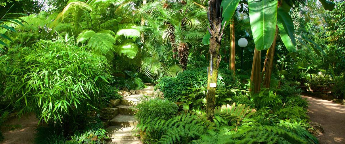 Jardin botanique de Saint-Pétersbourg qui includes jardin