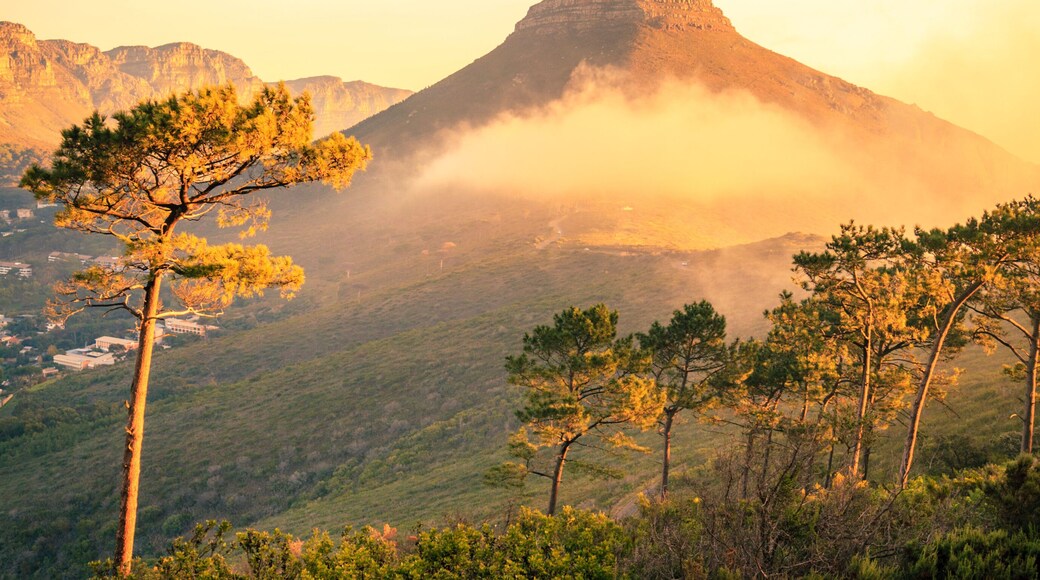 Tamboerskloof