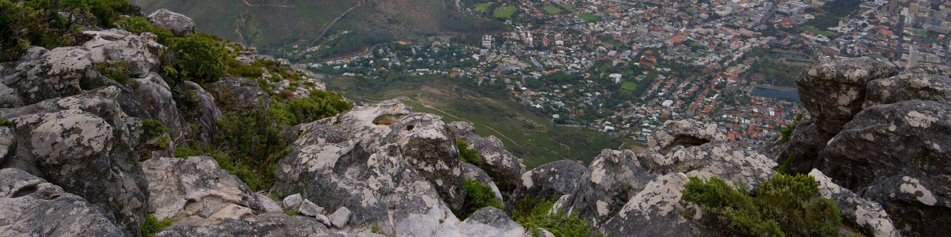 Lions Head