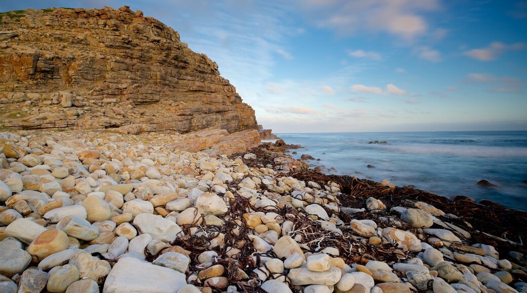 Cape of Good Hope which includes rugged coastline and a pebble beach