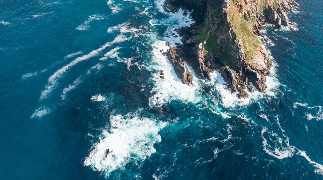 Cape Point and Cape of good hope (South Africa)