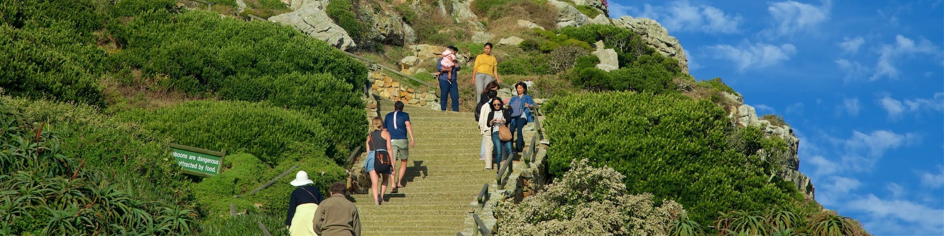 Cape Point showing a lighthouse as well as a small group of people
