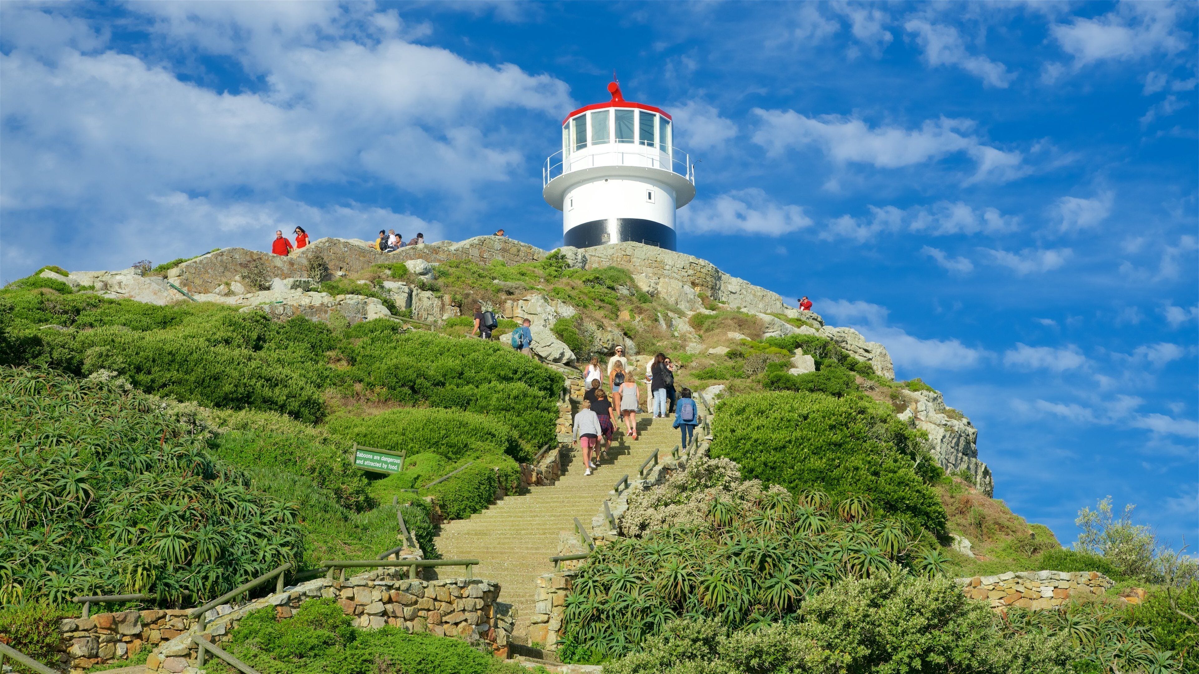 Cape Point showing a lighthouse as well as a small group of people
