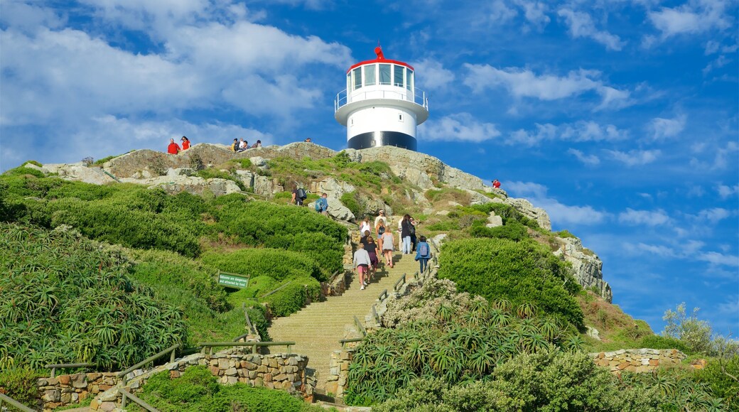 Cape Point showing a lighthouse as well as a small group of people