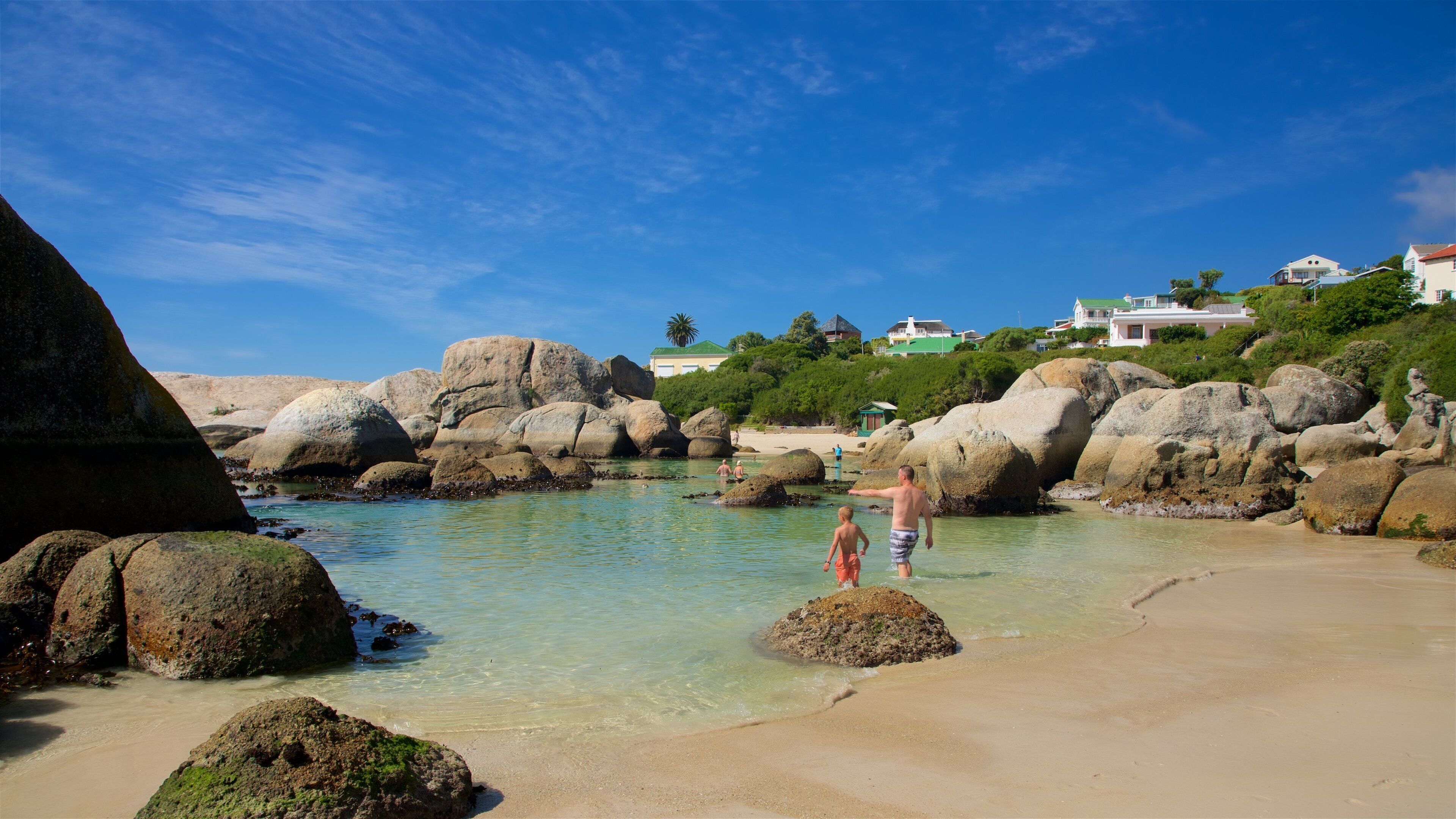 Boulders Beach which includes rugged coastline and a beach as well as a family