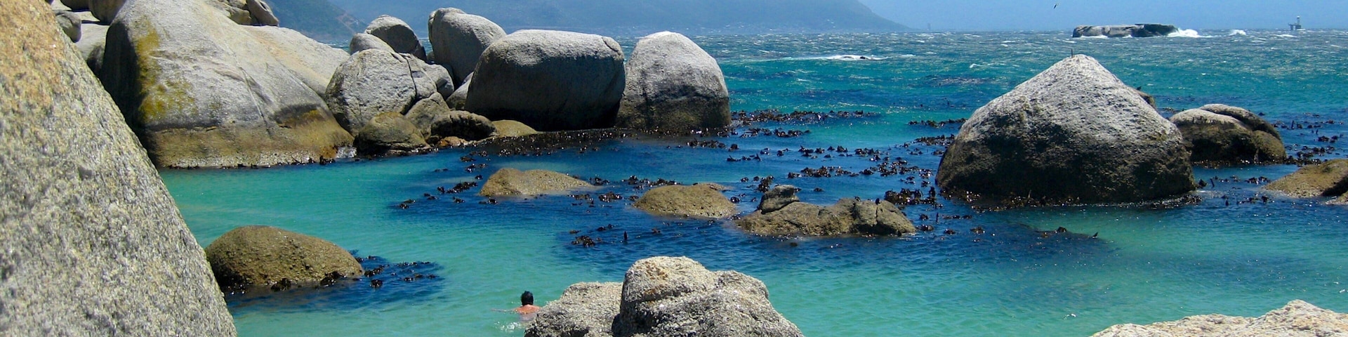 Boulders Beach featuring swimming, tropical scenes and landscape views