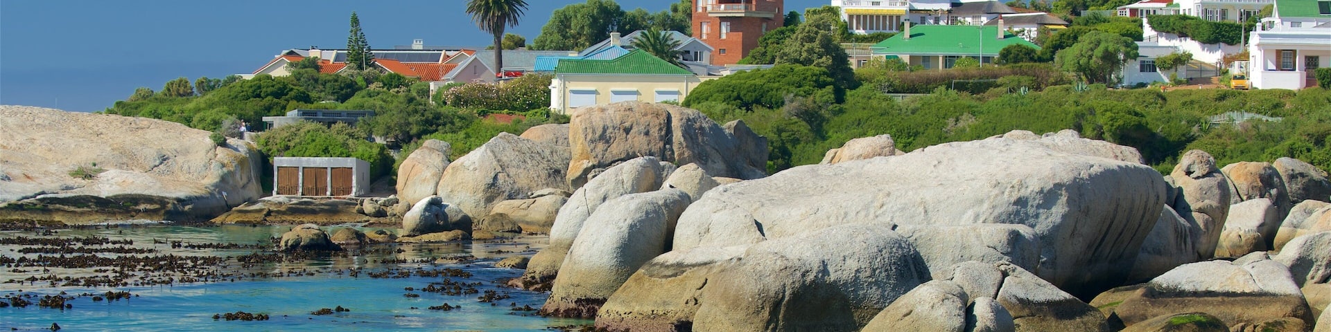 Boulders Beach das einen Meeresbewohner, Sandstrand und Felsküste