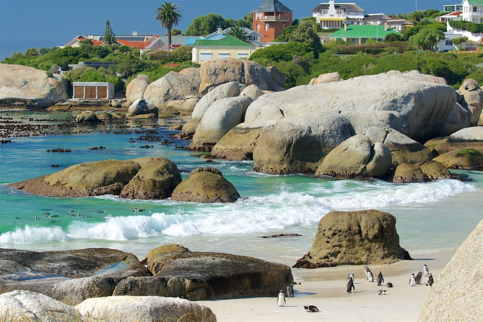 A rocky beach with large boulders, clear turquoise water, and a few penguins on the shore.
