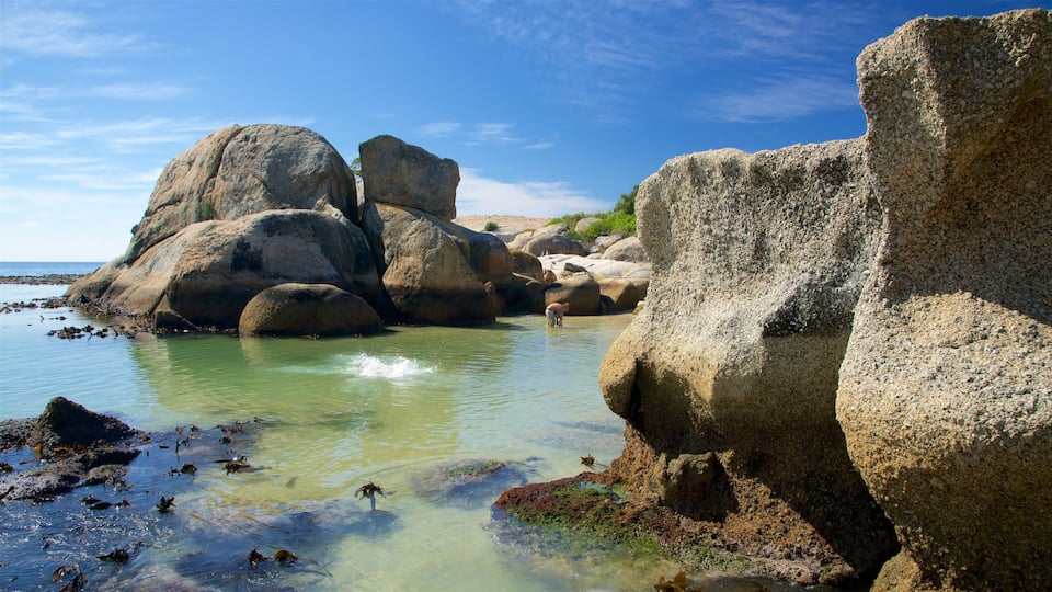 A rocky shoreline with clear water and large boulders.