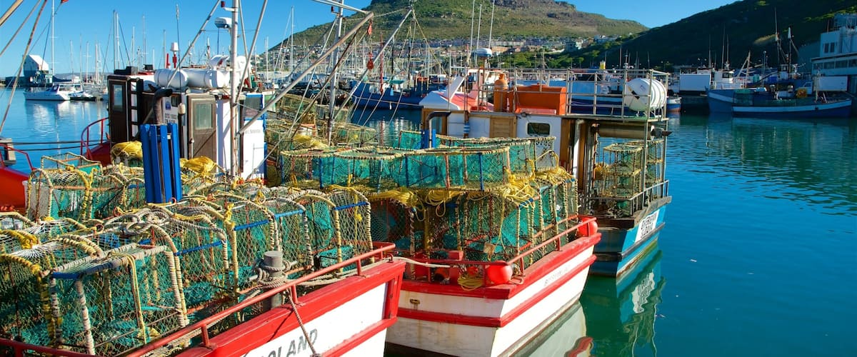 Plage de Hout Bay qui includes marina