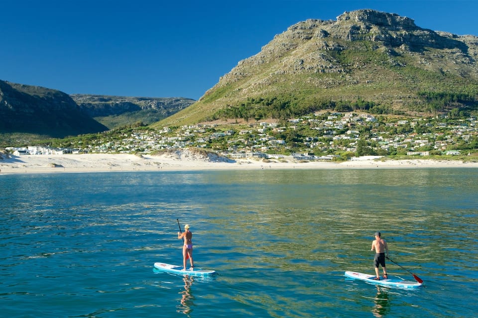 Two people paddleboarding on a calm sea with a mountainous coastline and a residential area in the background.