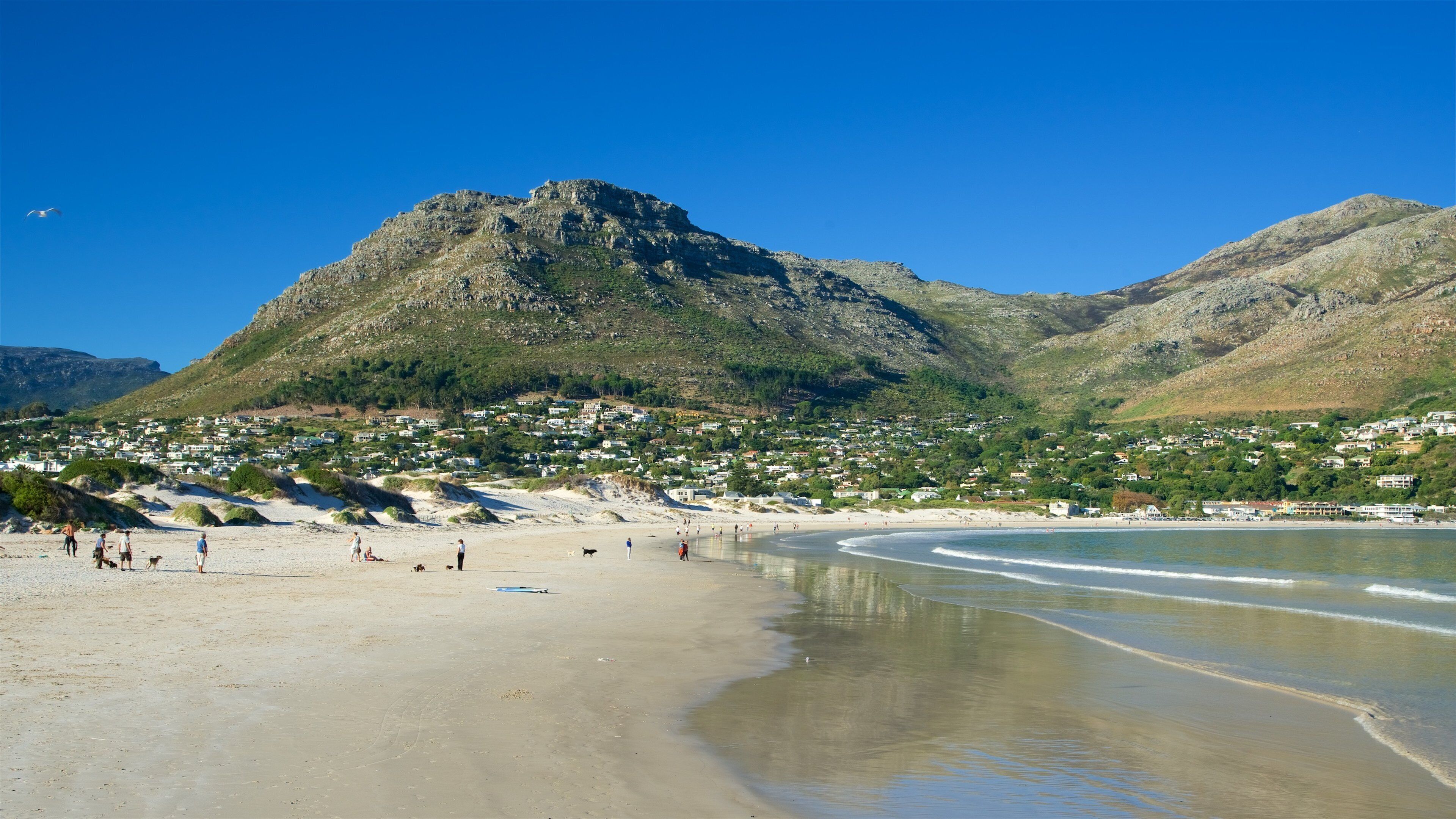 Hout Bay Beach som inkluderer strand og kystby