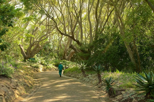 Kirstenbosch National Botanical Gardens welches beinhaltet Park