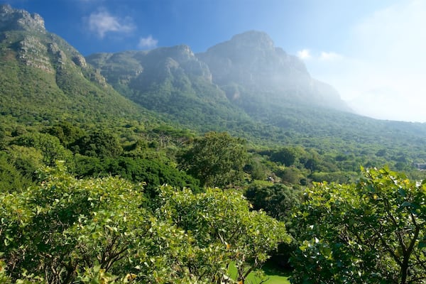 Kirstenbosch National Botanical Gardens which includes a park