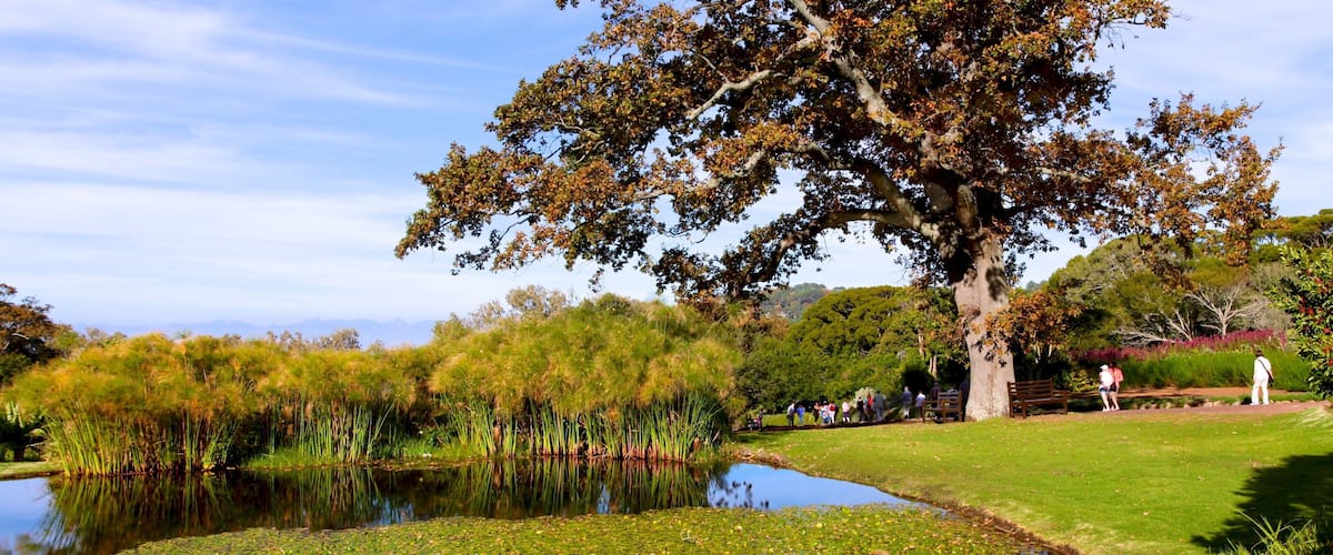Kirstenbosch National Botanical Garden which includes landscape views, a garden and a pond