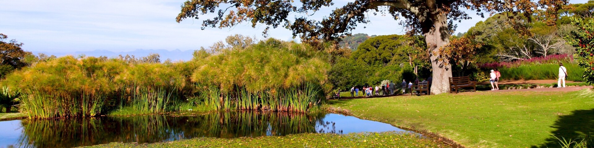 Kirstenbosch National Botanical Garden which includes landscape views, a garden and a pond