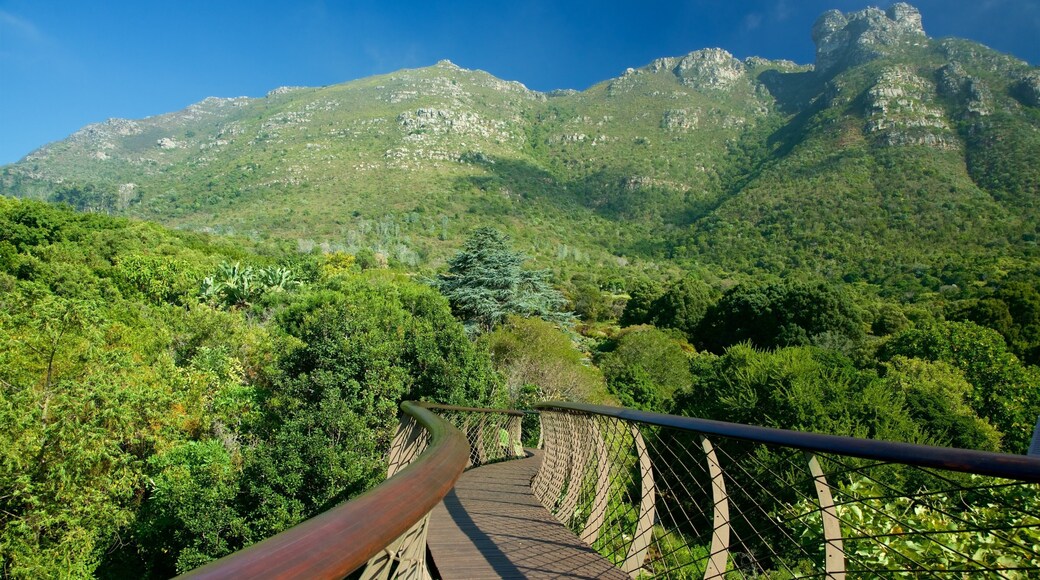 Kirstenbosch National Botanical Gardens mostrando un puente y un parque