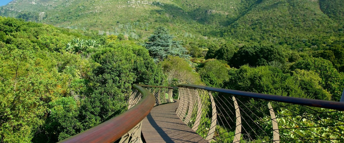 Jardin botanique national Kirstenbosch montrant pont et jardin