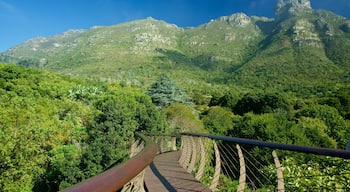 Jardim BotĂąnico Nacional Kirstenbosch caracterizando um jardim e uma ponte