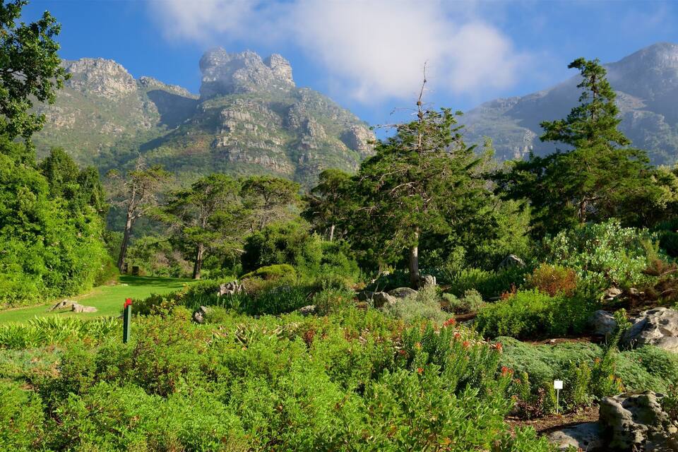 A lush green landscape with a variety of trees and shrubs, a clear path, and a mountainous backdrop.