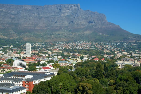 Company Gardens featuring a city
