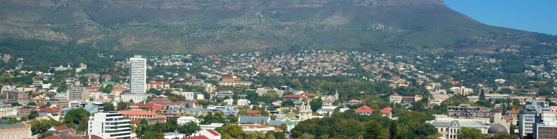 Company Gardens featuring a city