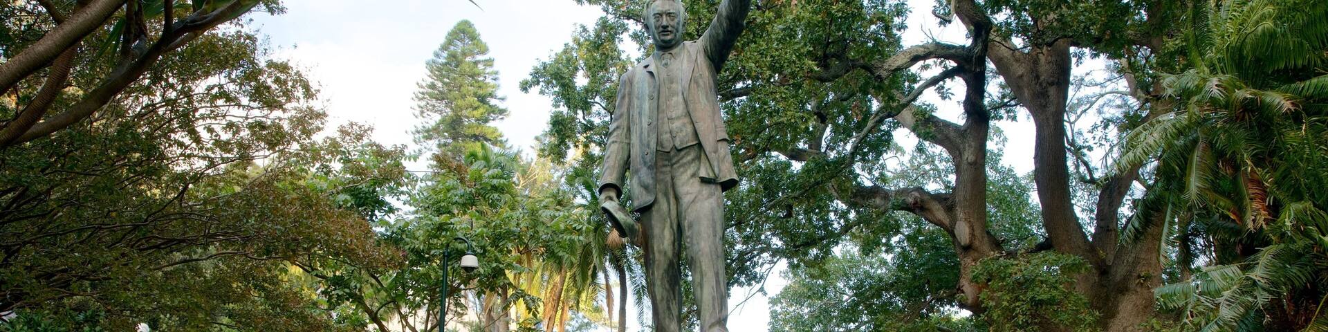 Company Gardens welches beinhaltet Beschilderung und Garten