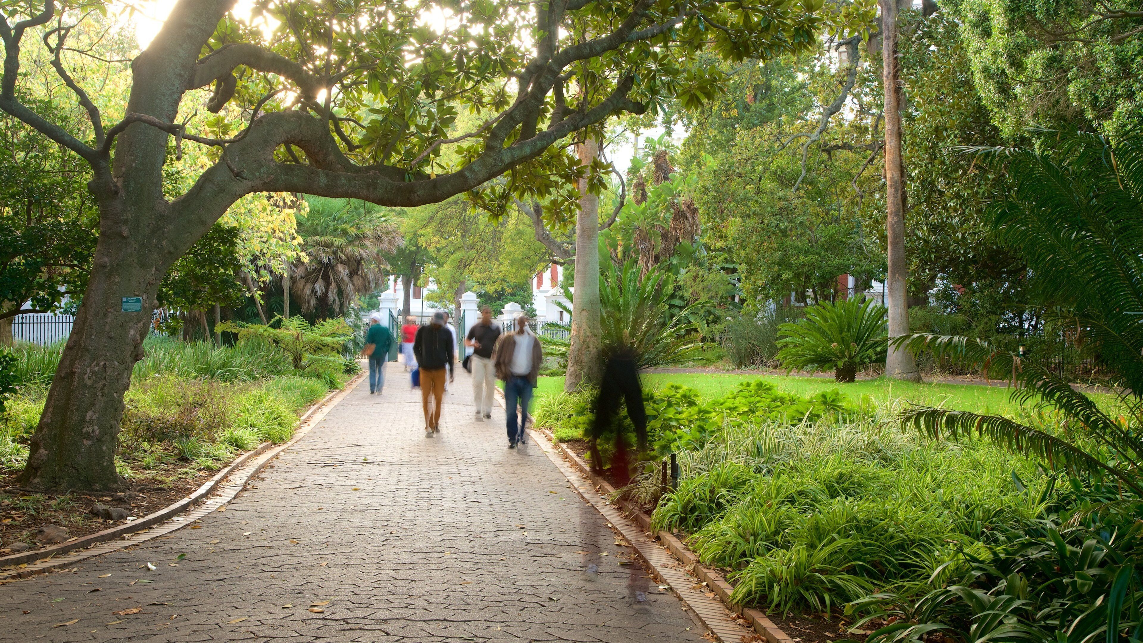 Company\'s Garden featuring a park as well as a small group of people