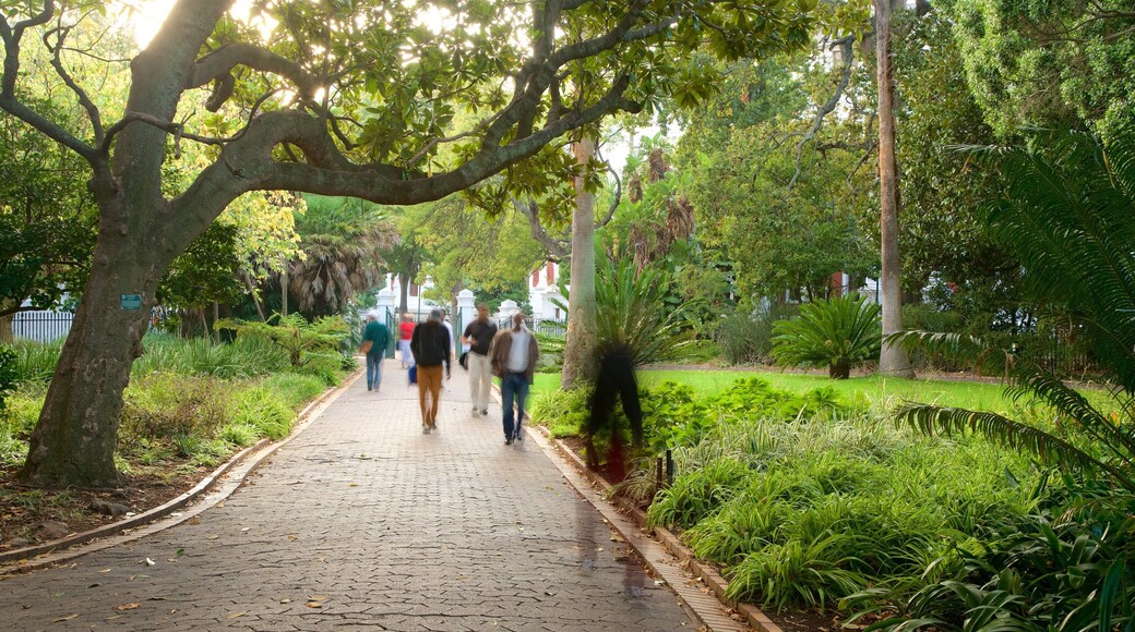 Company\'s Garden featuring a park as well as a small group of people