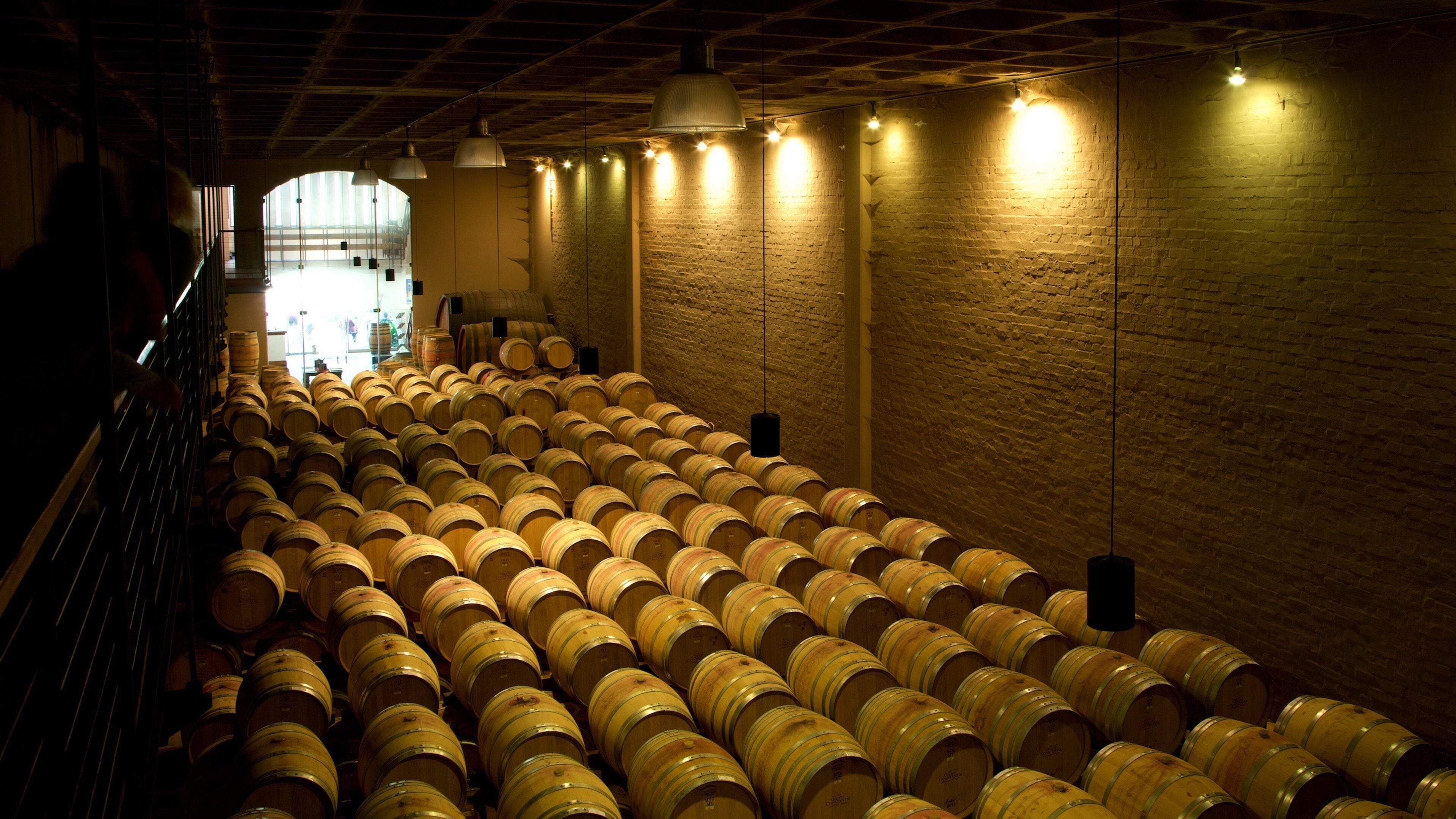 Nhà máy rượu vang Groot Constantia cho thấy cảnh nội thất