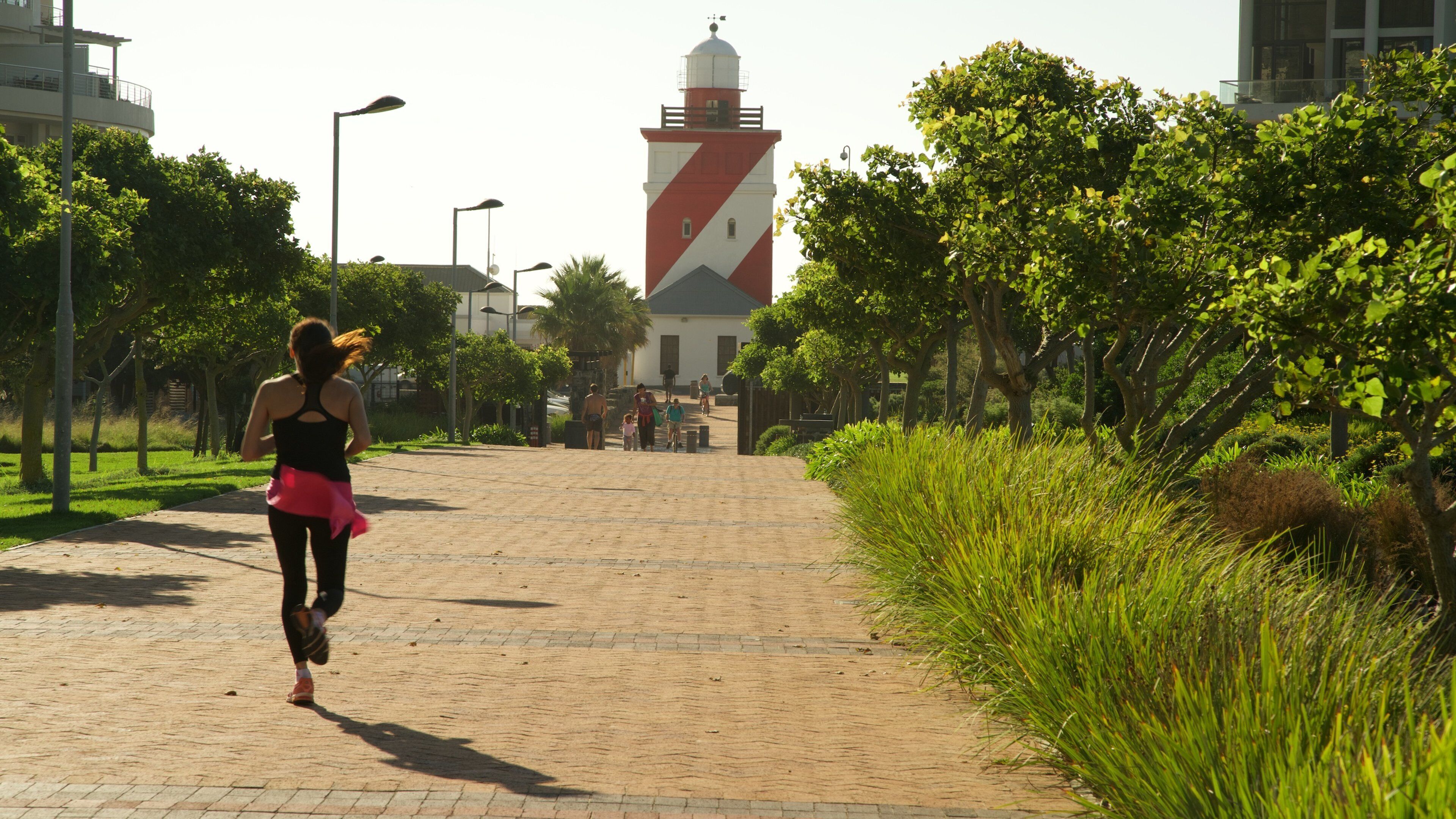 Cidade do Cabo mostrando cenas de rua e um jardim assim como um homem sozinho