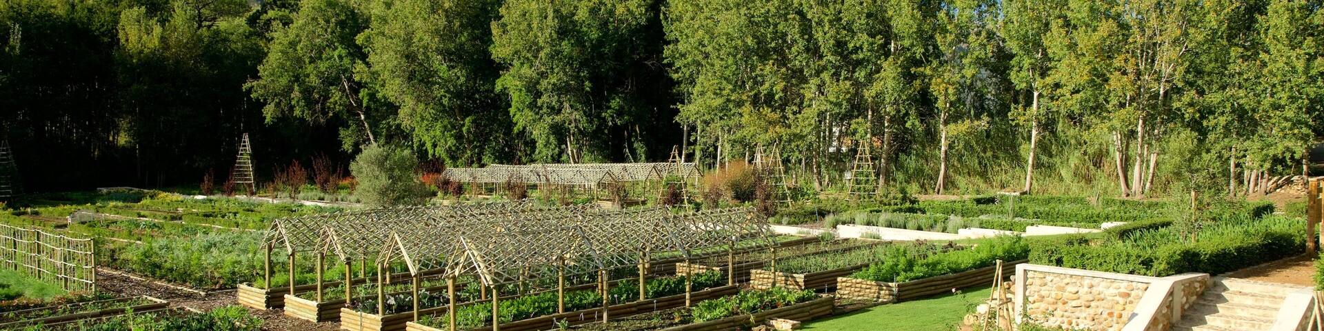 Boschendal Estate which includes a park and farmland