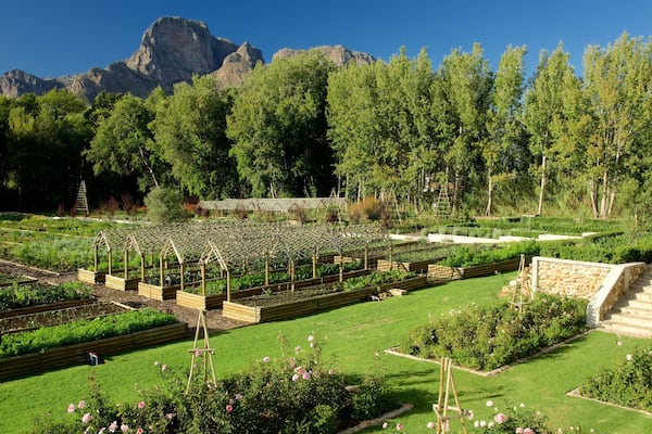 Boschendal Estate showing farmland and a garden