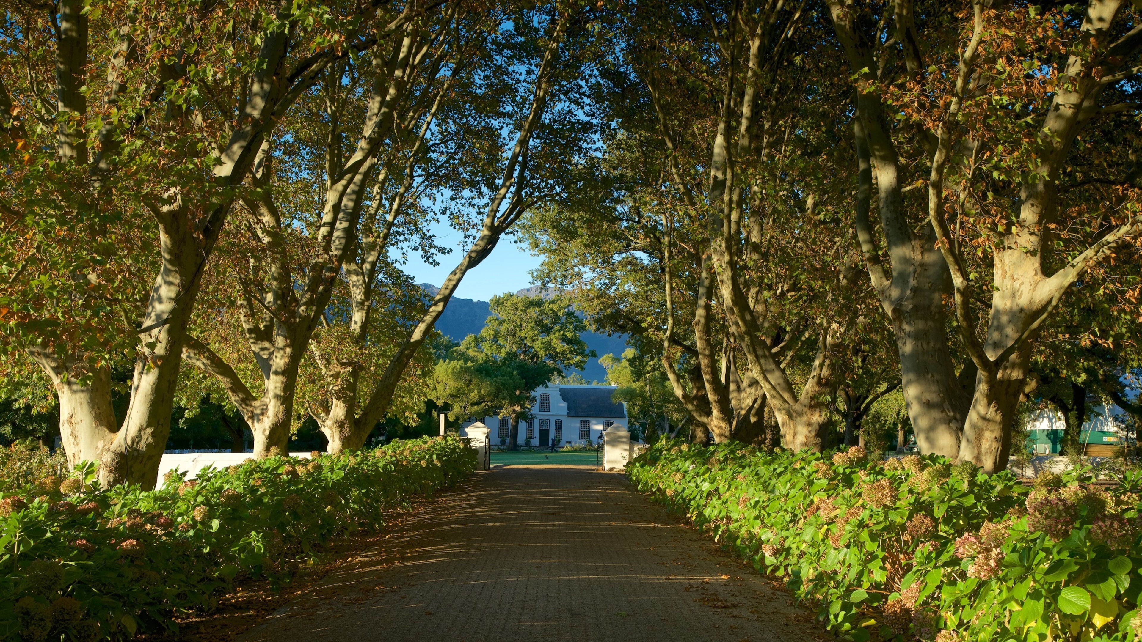 Boschendal Estate which includes a garden