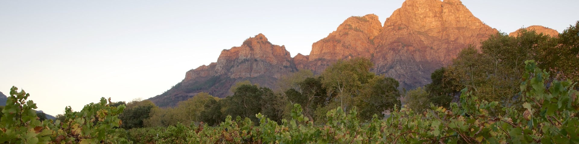Boschendal Estate featuring farmland and a sunset