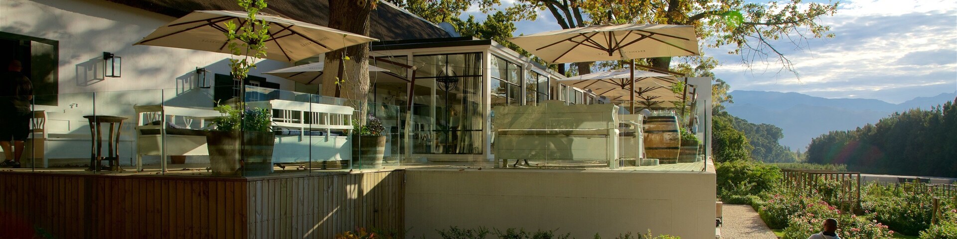 Boschendal Estate as well as an individual male