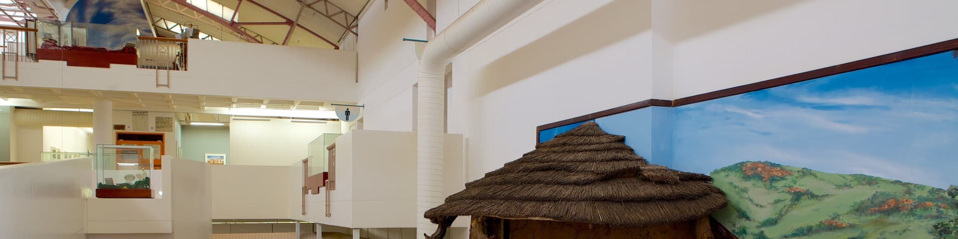 Museum Africa showing interior views