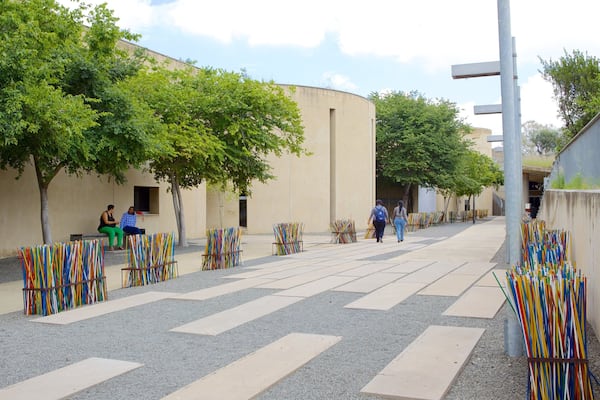 Apartheid Museum which includes a city and street scenes
