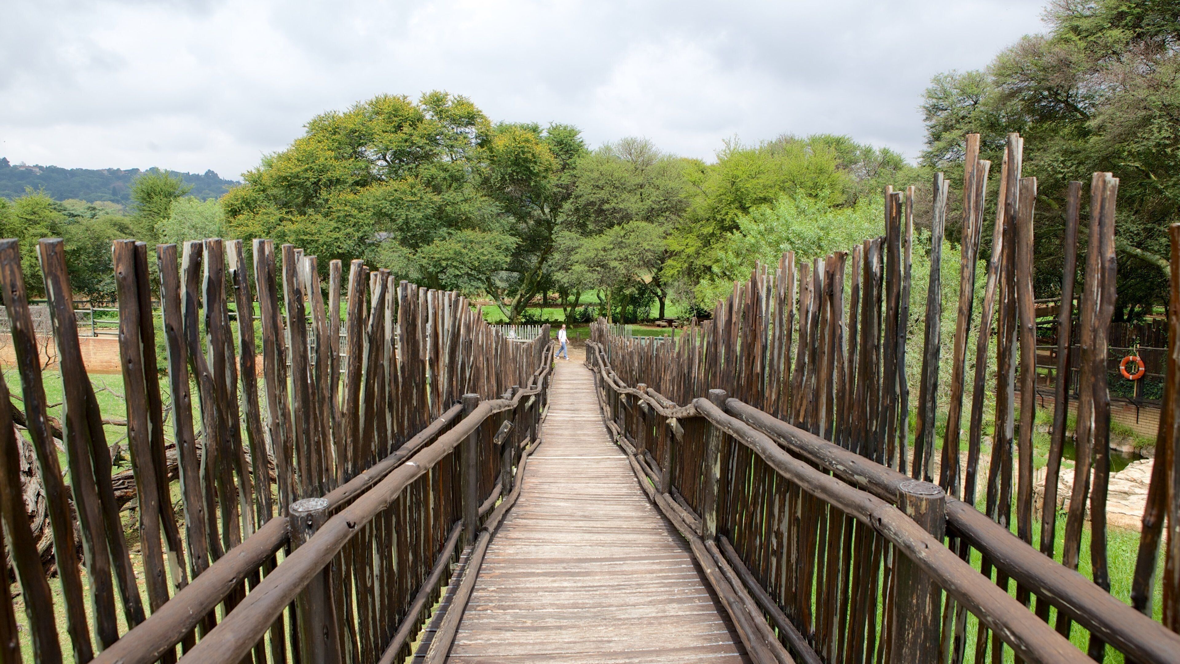 Johannesburg Zoo featuring a bridge and a garden