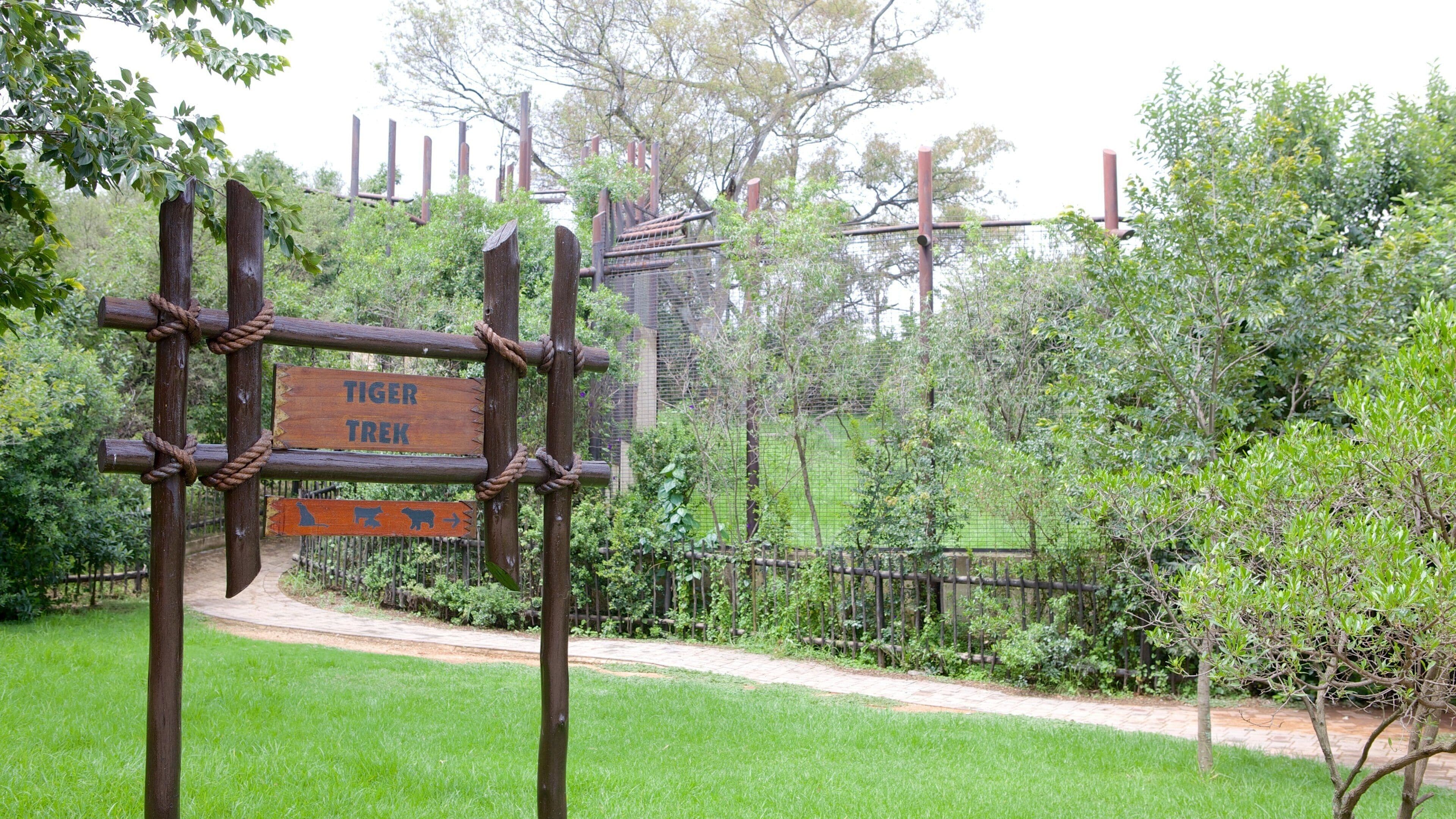 A wooden sign with 'Tiger Trek' and directional arrows, surrounded by lush greenery and a fence.