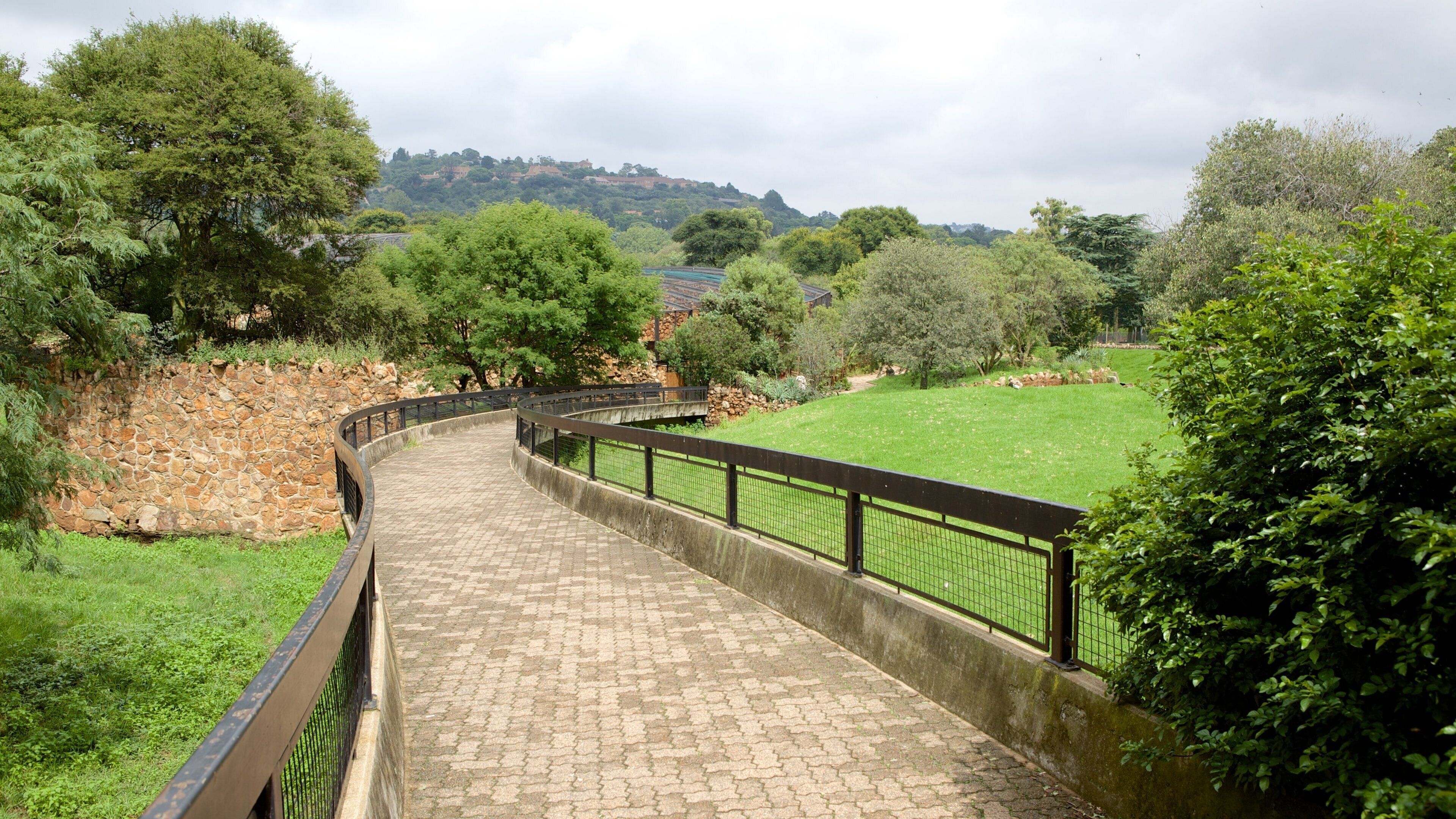 Johannesburg Zoo ofreciendo vista panorámica y animales de zoológico
