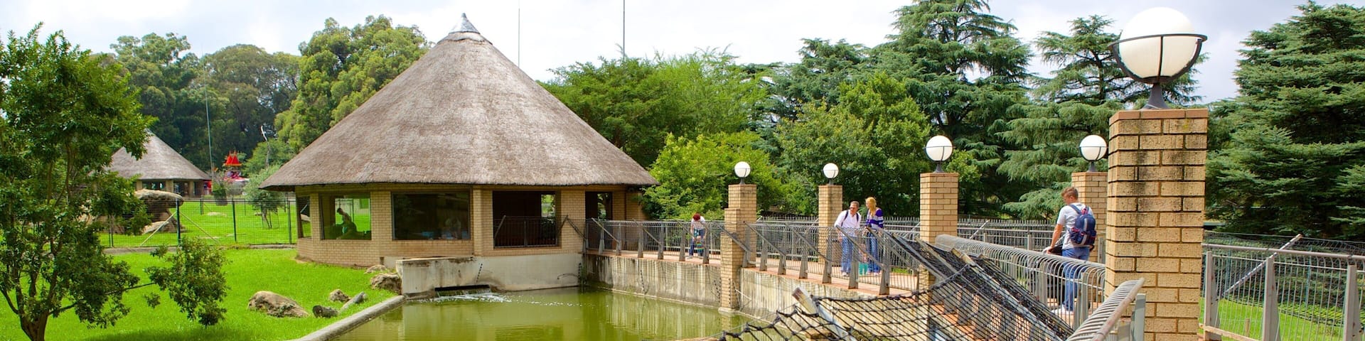 Johannesburg Zoo showing zoo animals