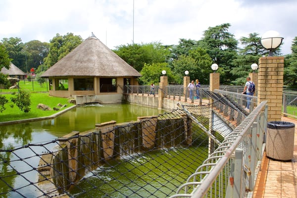 Johannesburg Zoo das einen Zootiere