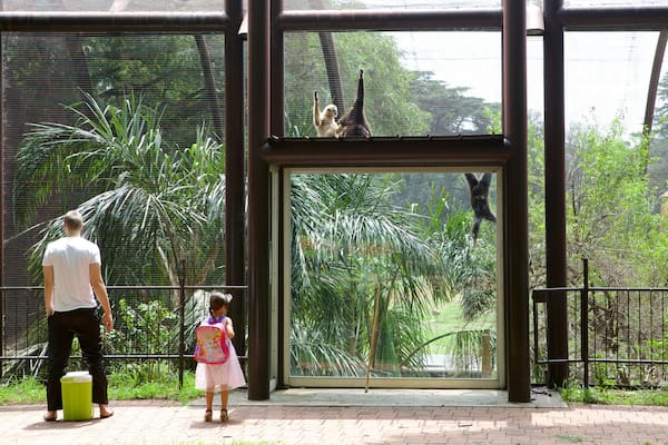 Johannesburg Zoo featuring cuddly or friendly animals and zoo animals as well as a family